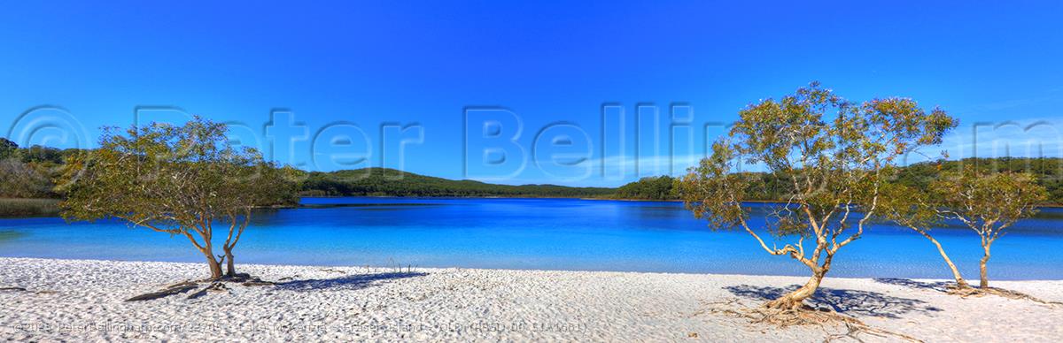 Peter Bellingham Photography Lake McKenzie - Fraser Island - QLD (PB5D 00 51A1661)